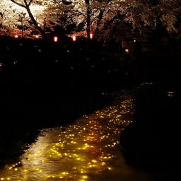 画像 今度はちゃんと撮って食うぞ展勝地～身照寺（花巻）展勝地（北上）～ の記事より 8つ目