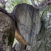 マイ走265日【朝日の岩石山岩ルート】の画像