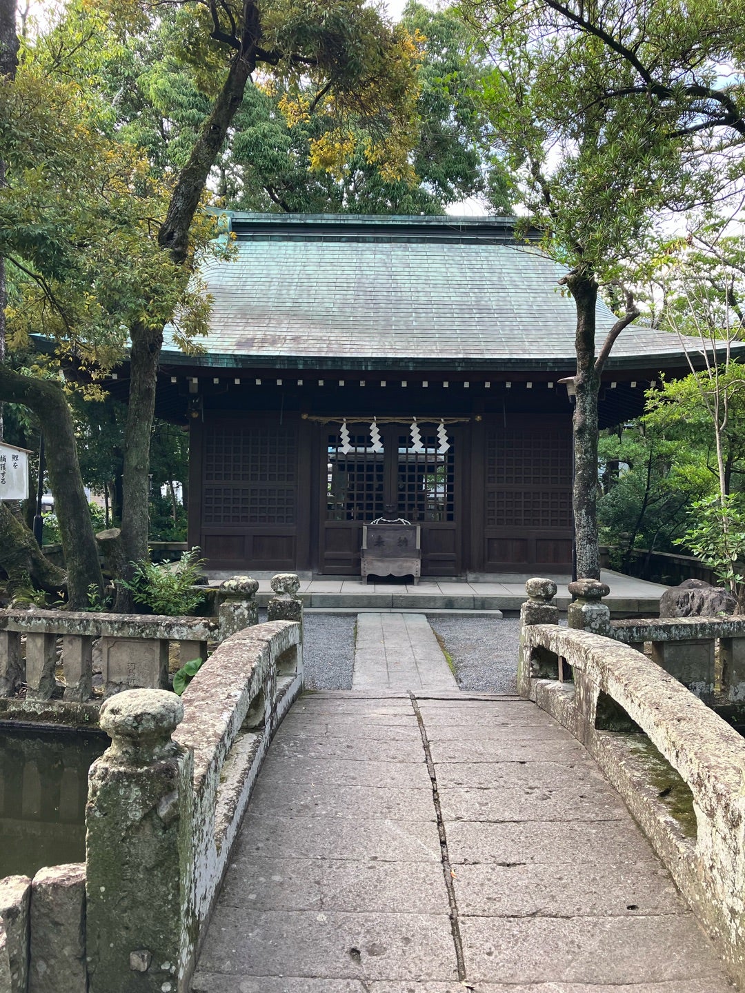 写真　いろいろ（少し）の記事画像