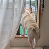 シルバーウィーク最終日。の画像