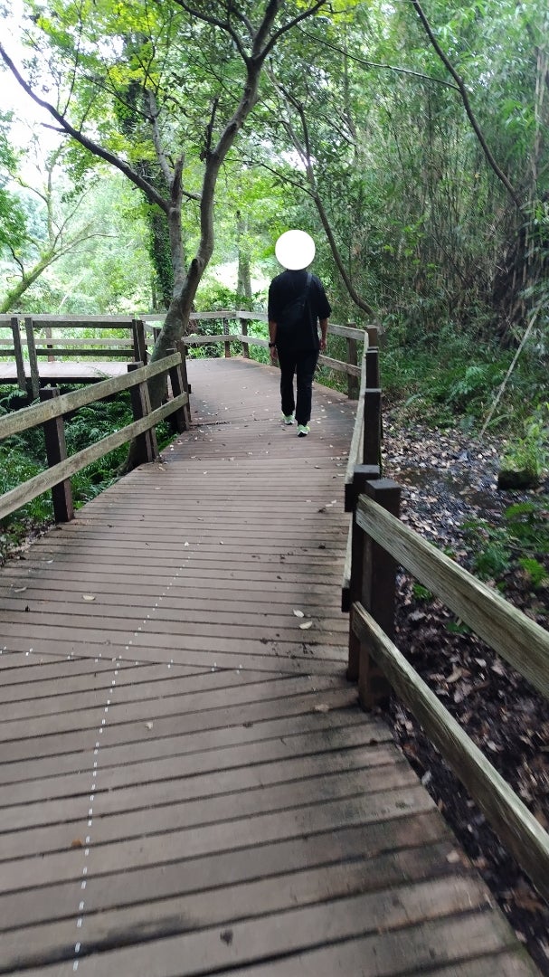 【婚活】5年越しの念願！熱海旅行で柿田川湧水群へ行ってきましたの記事画像