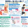 横隔膜は呼吸だけの筋肉ではない？の画像