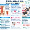多裂筋と体幹の安定性。の画像
