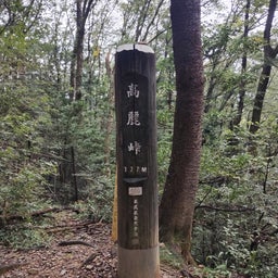 画像 巾着田✳満開の彼岸花 の記事より 9つ目