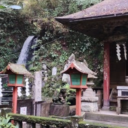 画像 長雨の晴れ間に、高尾山 の記事より 3つ目