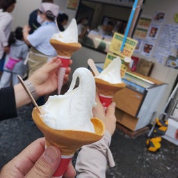 画像 巾着田✳満開の彼岸花 の記事より 7つ目
