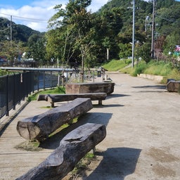 画像 長雨の晴れ間に、高尾山 の記事より 2つ目