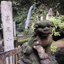 画像 長雨の晴れ間に、高尾山 の記事より 4つ目