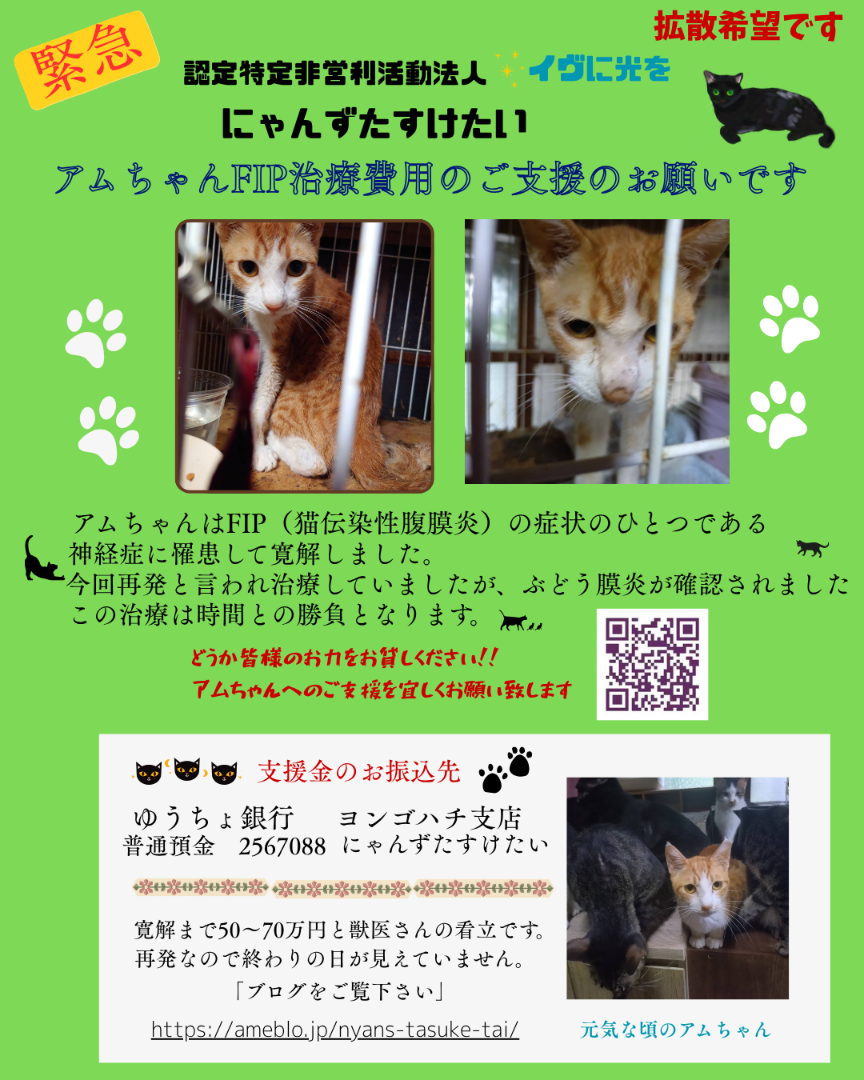 今日は検査日 | にゃんずたすけたいのブログ