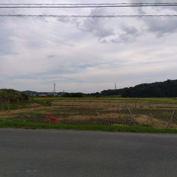 画像 脱穀完了 の記事より