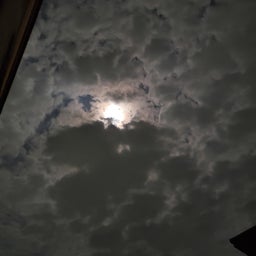 画像 プーさんのお着替え/今夜は中秋の名月 の記事より 10つ目