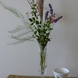 画像 独りきりの観月の宴 の記事より 1つ目