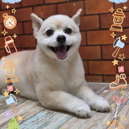 画像 トリミング♡もこくん の記事より 1つ目
