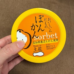 画像 ぽんかんシャーベット の記事より