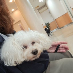 画像 腸内フローラ再検査 の記事より 4つ目