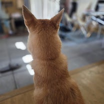 ブログ投稿画像