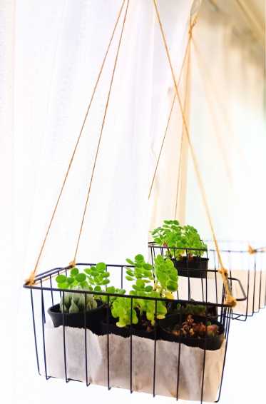 【DIY】窓辺に吊るす植物用バスケットの記事画像