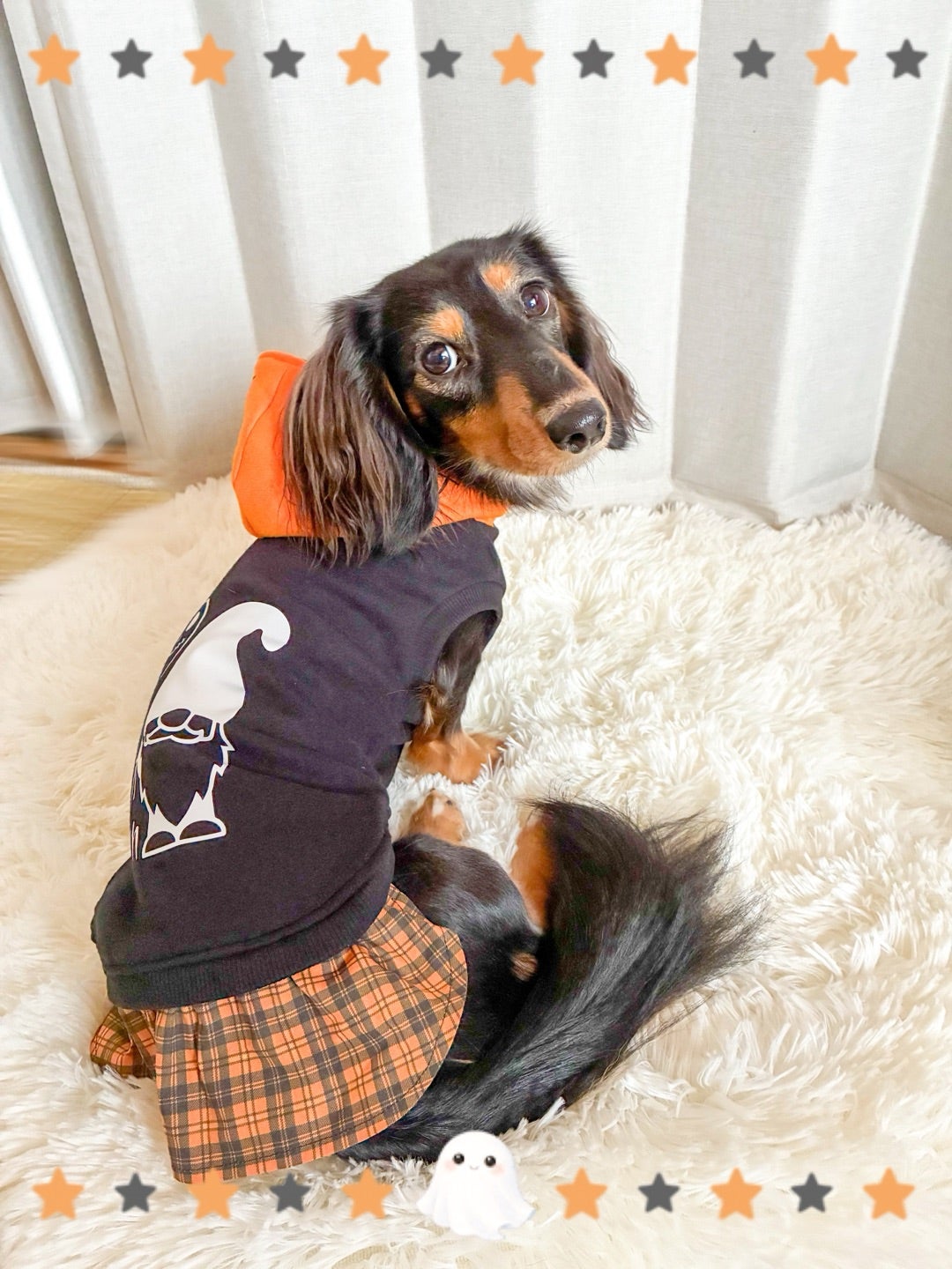 犬服作って貰ったよ〜₍₍ ( ๑॔˃̶◡ ˂̶๑॓)◞♡ | リュウ＆リントと