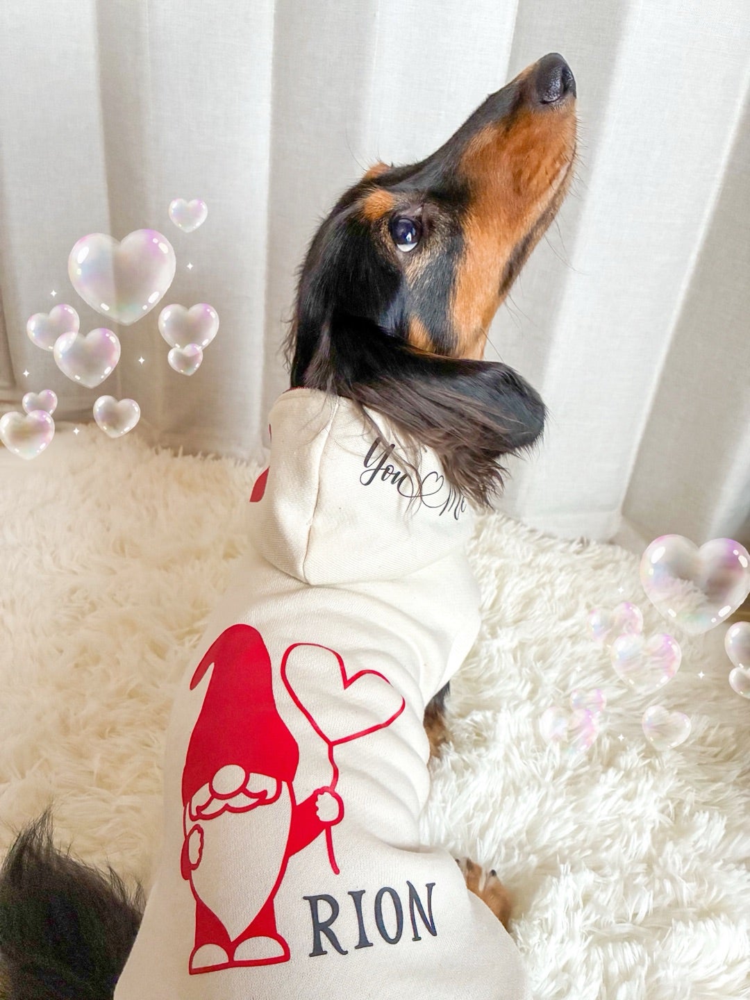 犬服作って貰ったよ〜₍₍ ( ๑॔˃̶◡ ˂̶๑॓)◞♡ | リュウ＆リントと