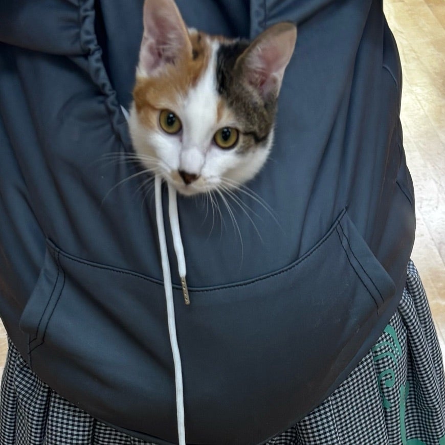猫パーカー❣️ | マナのブログ