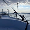 油津の画像