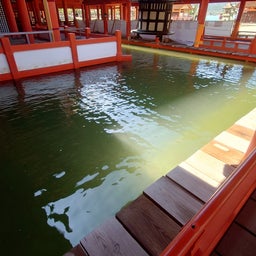 画像 そうだ宮島に行こう2 の記事より 5つ目