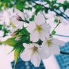 はじめまして♥の画像