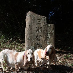 画像 三瀬砦跡 の記事より 4つ目