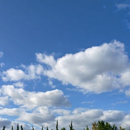 画像 長袖になりました。 の記事より 1つ目