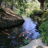 車中泊〜栗林公園696の画像