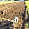 【作業記録】菜花「花娘」の播種作業の画像
