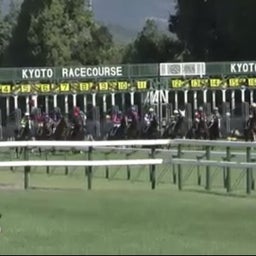 画像 今週の愛馬の結果（１０/３・４）・・・レッドシーカー新馬戦勝利！ の記事より 1つ目