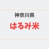 はるみ米はどこで売ってる？通販お取り寄せ情報の画像
