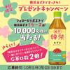 今日限定です！10000人にお茶１ケースが当たります♪の画像