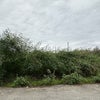 今日は草刈り　　10月5日の画像