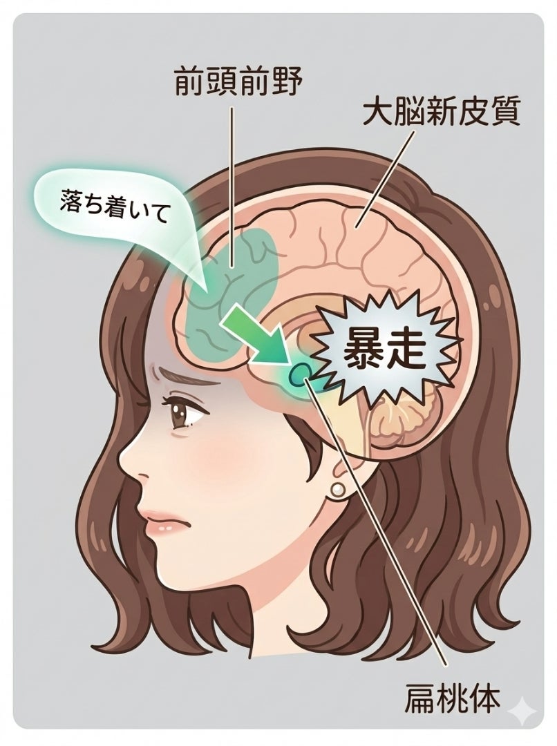 「現実見張るのやめたい！」それなら脳を味方につけようぞ。の記事画像