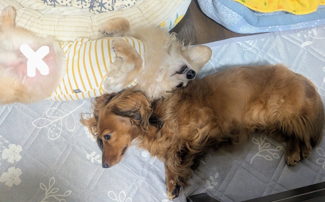 もう少しかな〜の記事画像
