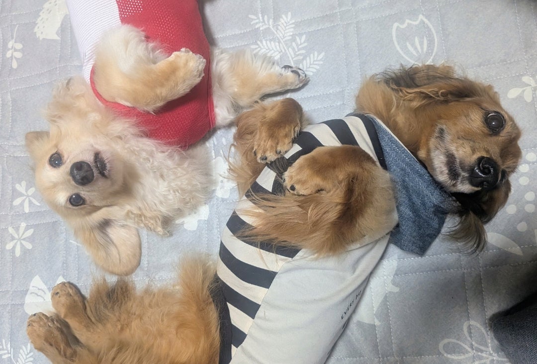 もう少しかな〜の記事画像