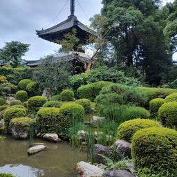 画像 京都✳亀岡市 の記事より 20つ目