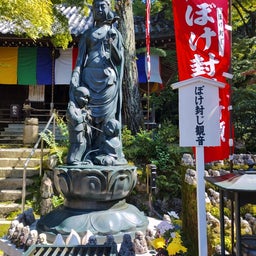 画像 京都✳今熊野観音寺〜雲龍院 の記事より 9つ目
