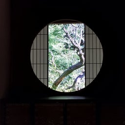 画像 京都✳今熊野観音寺〜雲龍院 の記事より 23つ目