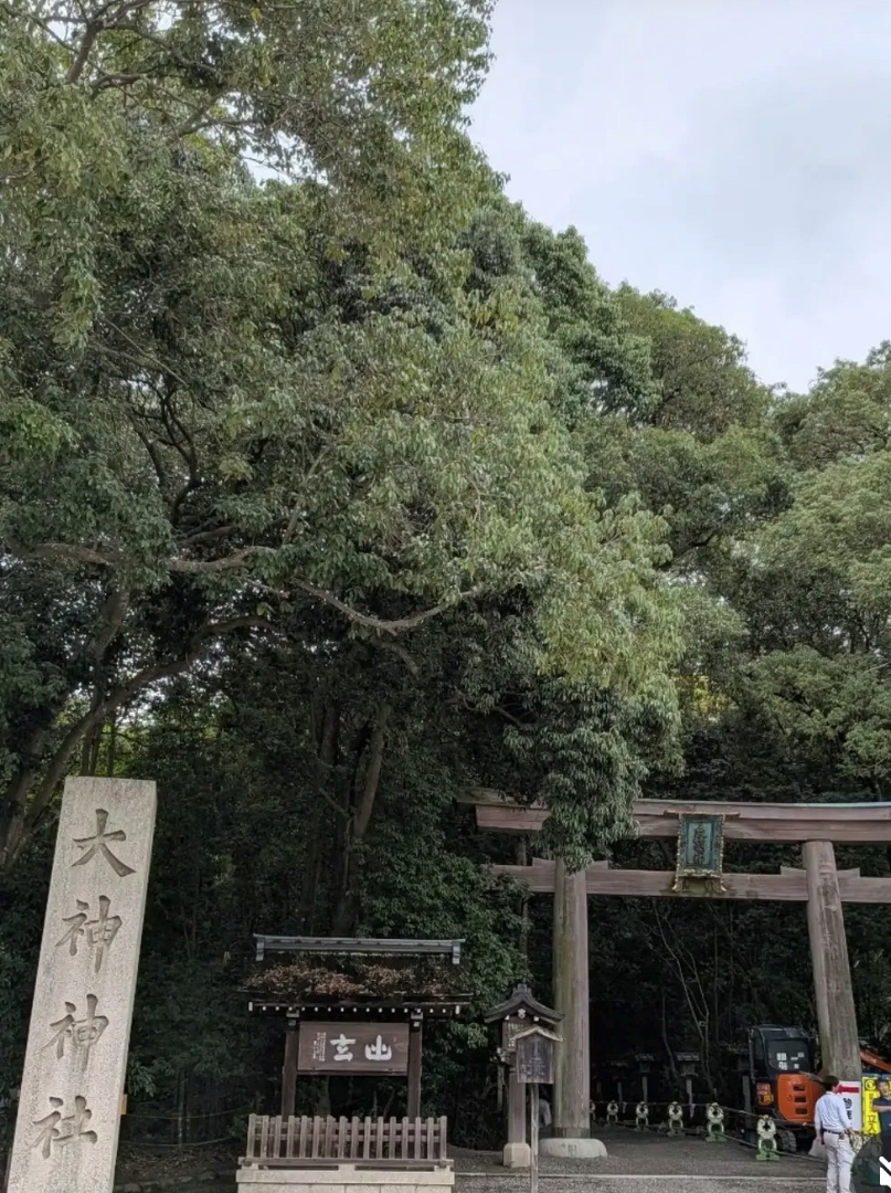 なぜ今更、本にしたのか？の記事画像