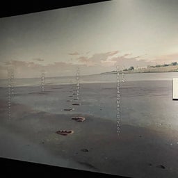 画像 MAPPA展@東京 の記事より 34つ目