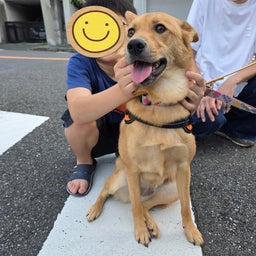 画像 すだち（なつき）との再会 の記事より 6つ目