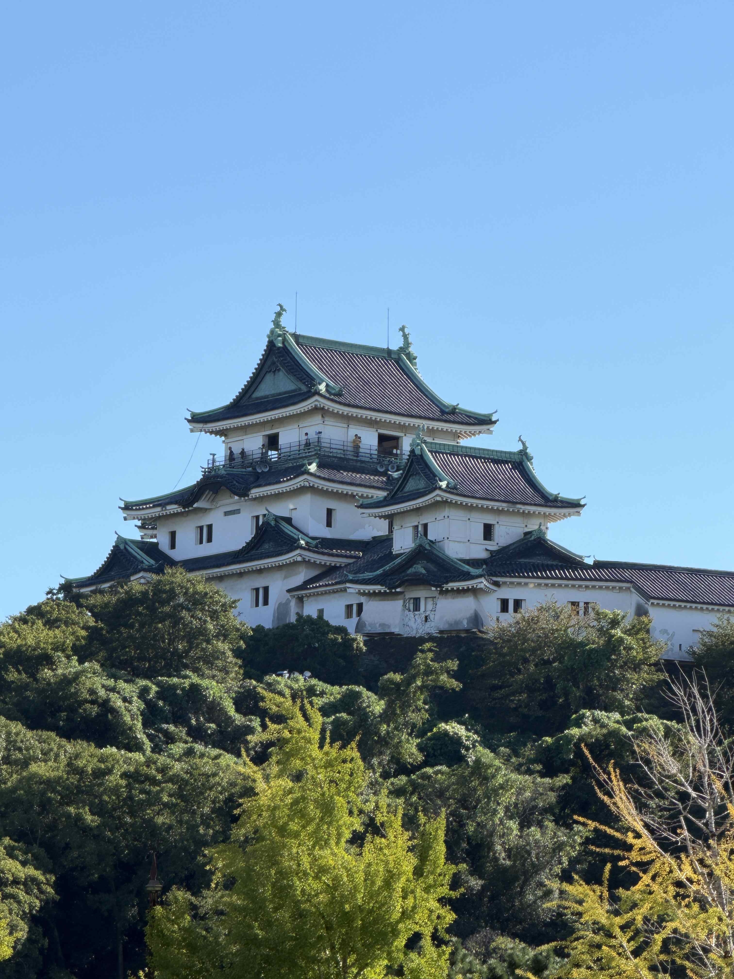 和歌山城ホール！！の記事画像