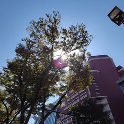 画像 10月になった の記事より 7つ目