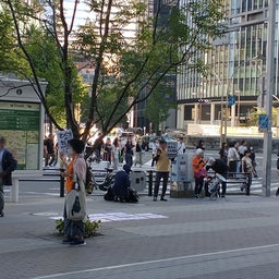 画像 「移民政策反対」の妨害者は政府を支持し差 別を薄っぺらくしている？ の記事より 1つ目