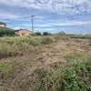 今日は草刈り　　10月12日の画像