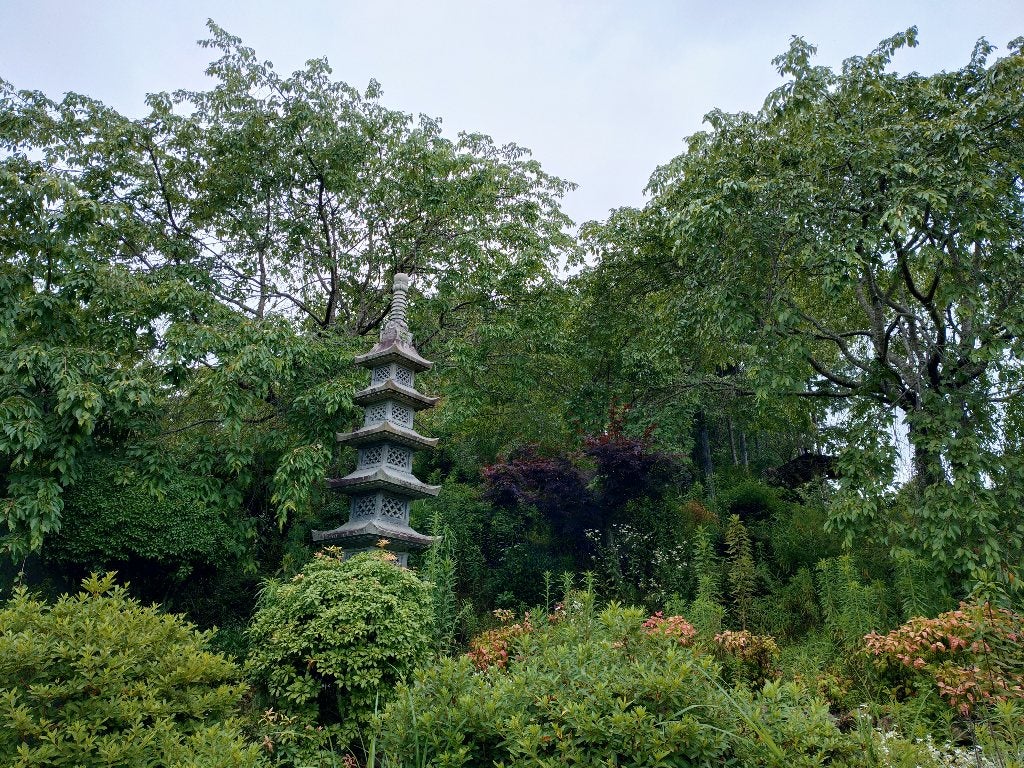藍本にある枝垂れ桜園の記事画像