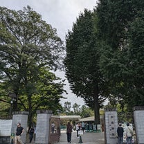 ブログ投稿画像